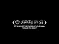 كروما شاشة سوداء قرآن كريم سورة الرحمن كاملة القارئ صلاح بو خاطر