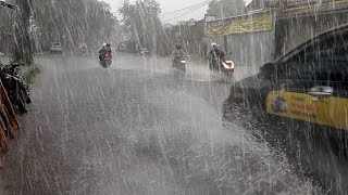 Heavy rain strong winds in my village cold  fell asleep with the sound of heavy rain by village rain vlog 15,385 views 2 months ago 3 hours, 3 minutes