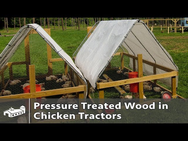 Pressure Treated Wood in Chicken Tractors - AMA S5:E1 - YouTube