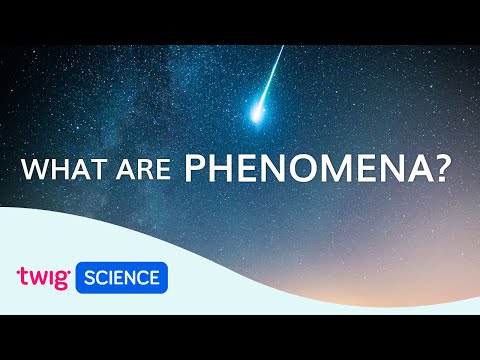 Video: Er en veletablert og svært pålitelig forklaring på et naturfenomen?