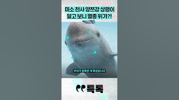 미소 천사 양쯔강 상괭이 알고 보니 멸종 위기?!
