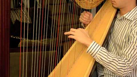 Ave Maria - Beyonce Cover on the Harp