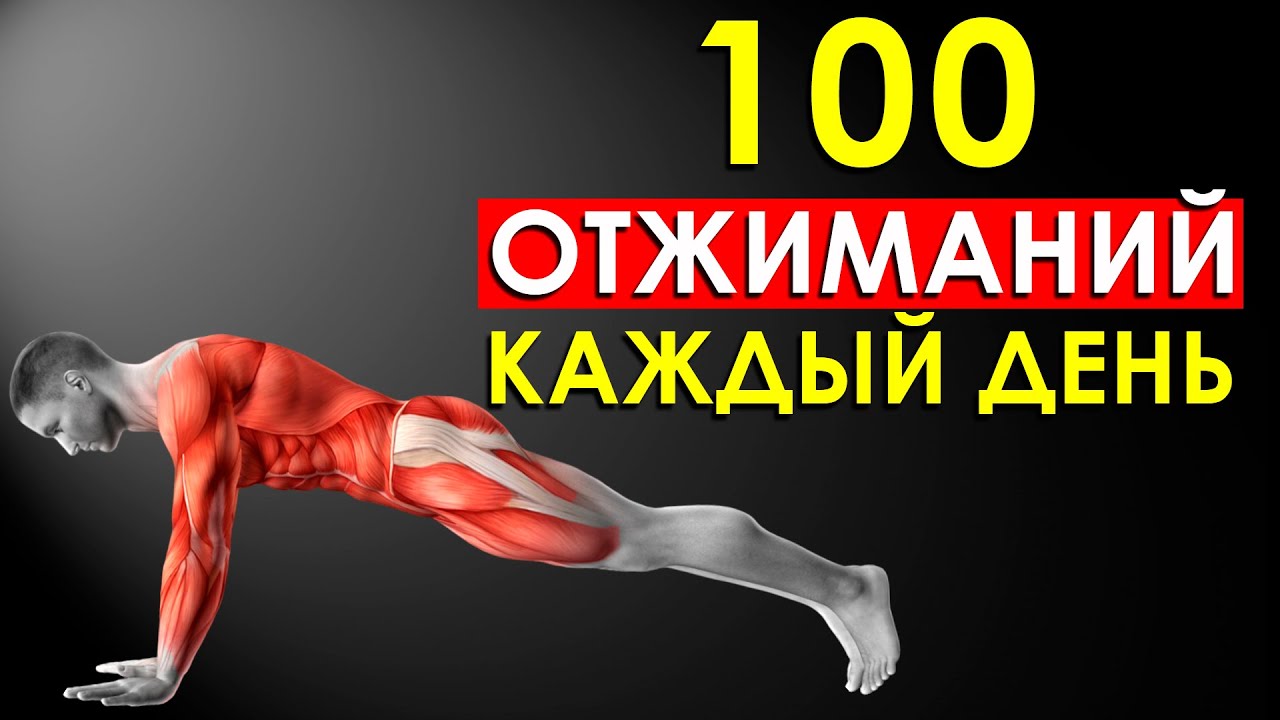 100 Отжиманий в день. Отжимания до 100. Что будет если отжиматься 100 раз в день. Что будет с телом если отжиматься каждый день.