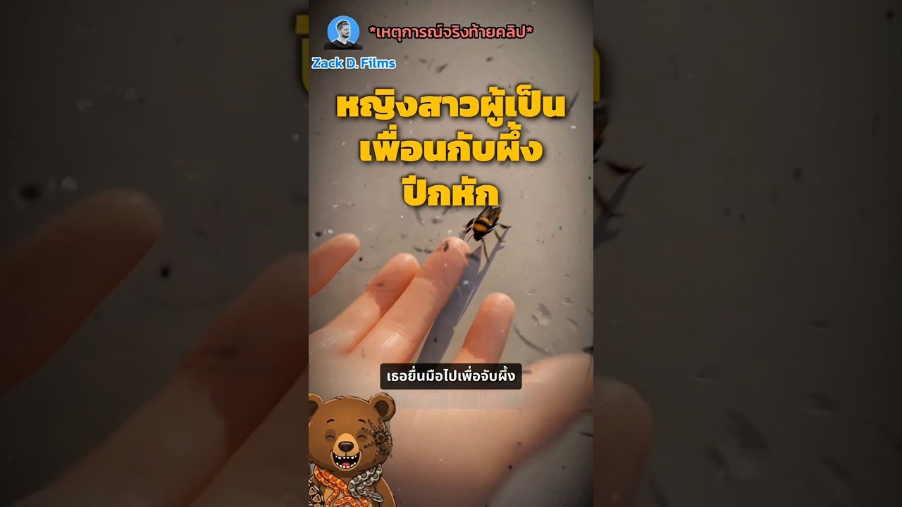 เป็นเพื่อนกับผึ้ง🐝 #story #zackdfilm #fyp