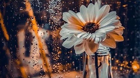 تلاوة هادئة تريح القلب ❤ و العقل تنسيك الدنيا وهمها 💎 قران كريم 💎 بصوت جميل جدا تشعر براحة نفسية