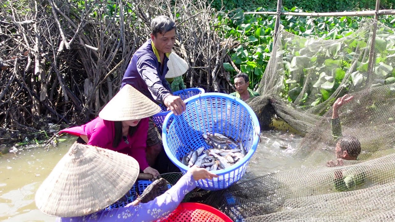 Ra Sông Dở Chà Trúng Mánh Mấy Chục Kí Cá Ba Cô Cháu Đẩy Xe Cá Đi Bán | HQ #1016