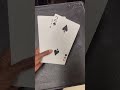 Extra large playing cards 
