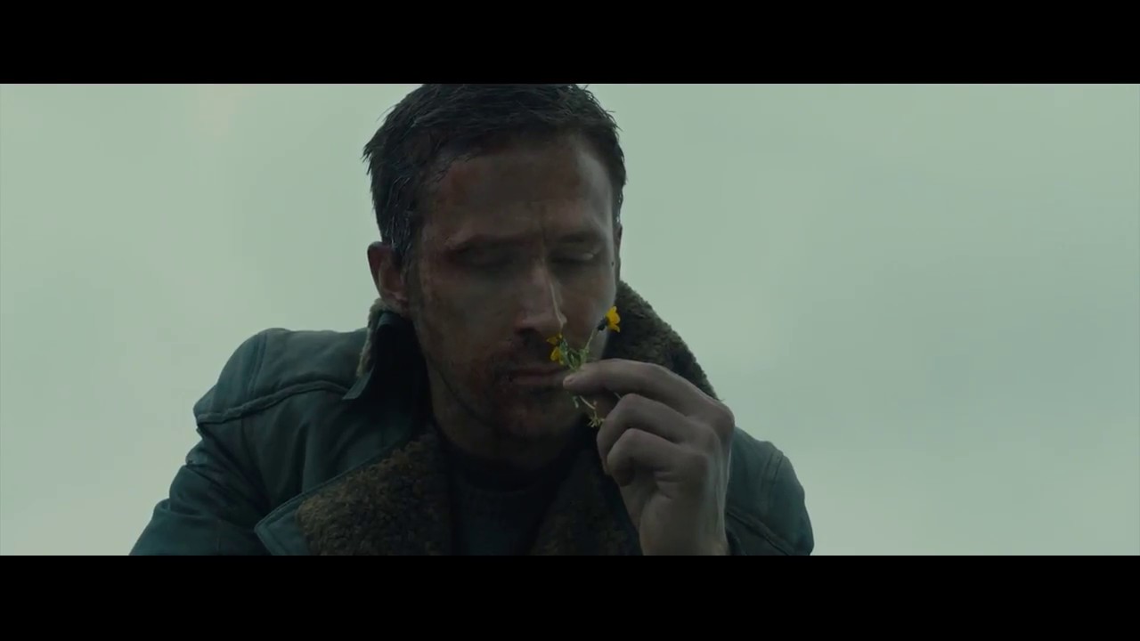 The Principle Full Movie The Principle Full Movie