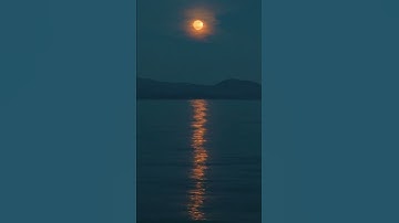 مقطع من سورة الكهف بصوت يريح القلب#سورة_الكهف #قران_كريم