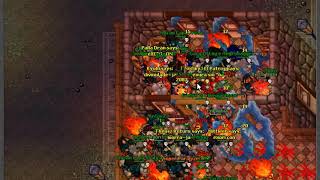 War shadow Tibia | Killer Of 157 vs True Force 21/11/2018