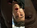 "Bro Without Suit" [Andrew Garfield Spiderman Edit] Canto De Luna