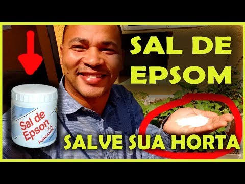 Vídeo: Quanto tempo leva para o sal Epsom apodrecer no toco de uma árvore?