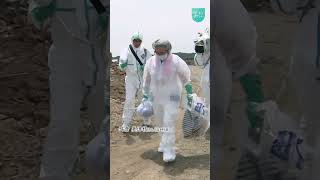 【NNNドキュメント】東日本大震災•原発事故から15年 それぞれの命と思い　NNNセレクション