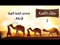 مالك الكعبة قصص السيرة النبوية للأطفال الحلقة الثالثة