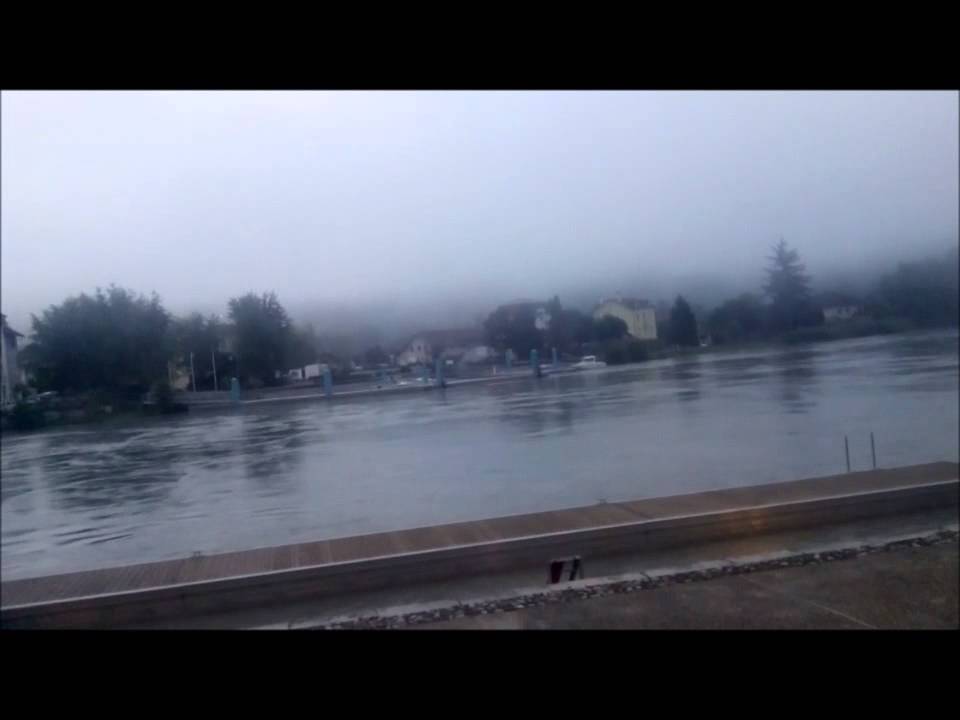 betty and the bops dans la brume du matin