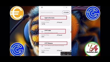 💠 Cryptodoor Mining 💕 Same like CBDC Network.✅ 24 Hours Once Receive CYPT