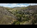 Resilience - The Rise of Apache Trout