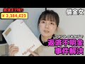 【リボ借金返済】支払い明細書の解読に成功/正月帰省(上げ直し)