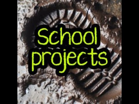 School Projects Let’s Get Kids Growing