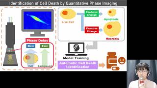 NTU-02: Identification of Cell Death by Quantitative Phase Imaging