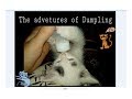 The adventures of Dumpling