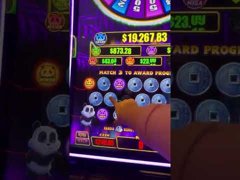De Populairste Panda-Slots in SpinPanda Online Casino - Nu Spelen in Nederland!