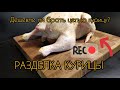 КАК РАЗДЕЛАТЬ КУРИЦУ/РАЗДЕЛКА КУРИЦЫ ВЫГОДНО ЛИ?/РЕЖЕМ КУРИЦУ.