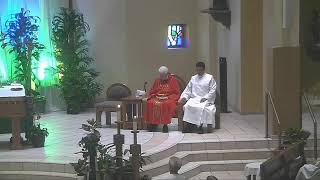 8 a.m. Mass, Thursday in the Fourteenth Week of Ordinary Time, July 9, 2026