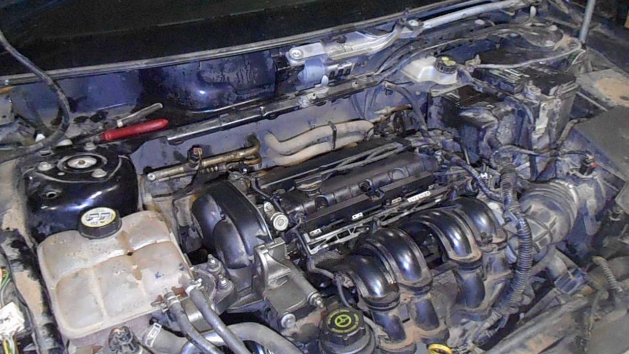 моторный отсек форд фокус 3 1. 6. 6. двигатель форд фокус 3 1. 6.