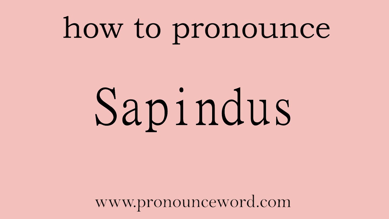 Sapindus How To Pronounce Sapindus In English correct Start With S sapindus-how-to-pronounce-sapindus-in-english-correct-start-with-s