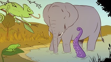 Soft Robotics - 4TU HTSF research programme