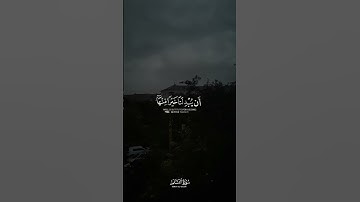 عسى ربنا أن يبدلنا خيرا منها إن إلى ربنا راغبون | القارئ اسلام صبحي 🎙