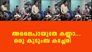 ഒരു സംഗീത കുടുംബം screenshot 5