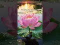 Lotus Blooms in Bengal | बदलाव का संकेत #BengalElection2026