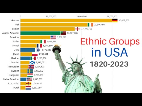 Video: Demographic groups: a brief description