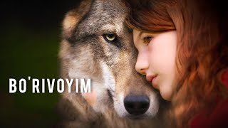 Bo'rivoyim (O'zbek tilida) Treyler 2020