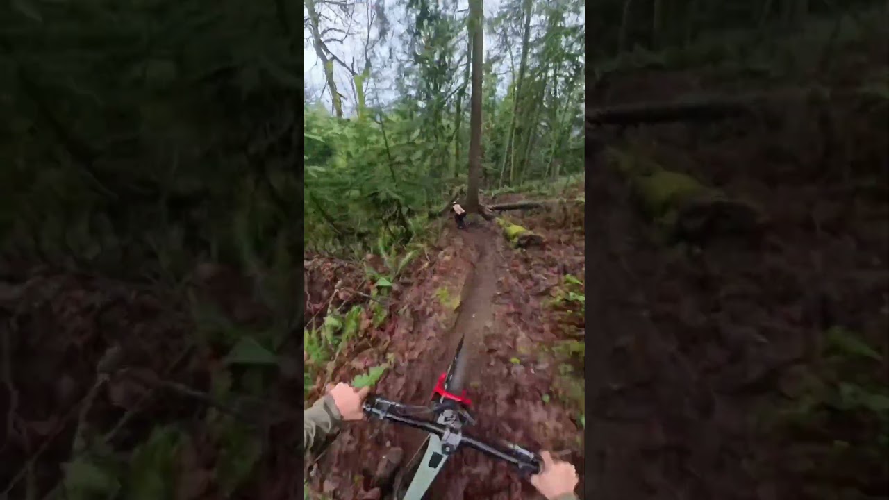 ::: POV time Laps through lush green singletrack with @talusturk
