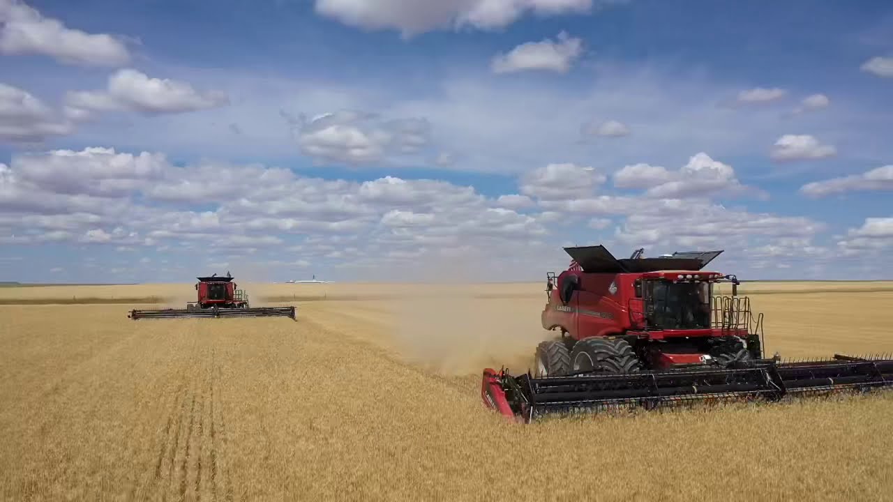 Welker Farms Inc Wheat Harvest 2019 Case IH