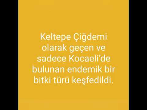 KPSS GÜNCEL BİLGİLER 20 TANE #KPSS #GÜNCEL #BİLGİ (KPSS LİSANS,ÖNLİSANS, ORTAÖĞRETİM)