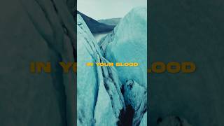 In Your Blood - December 14th