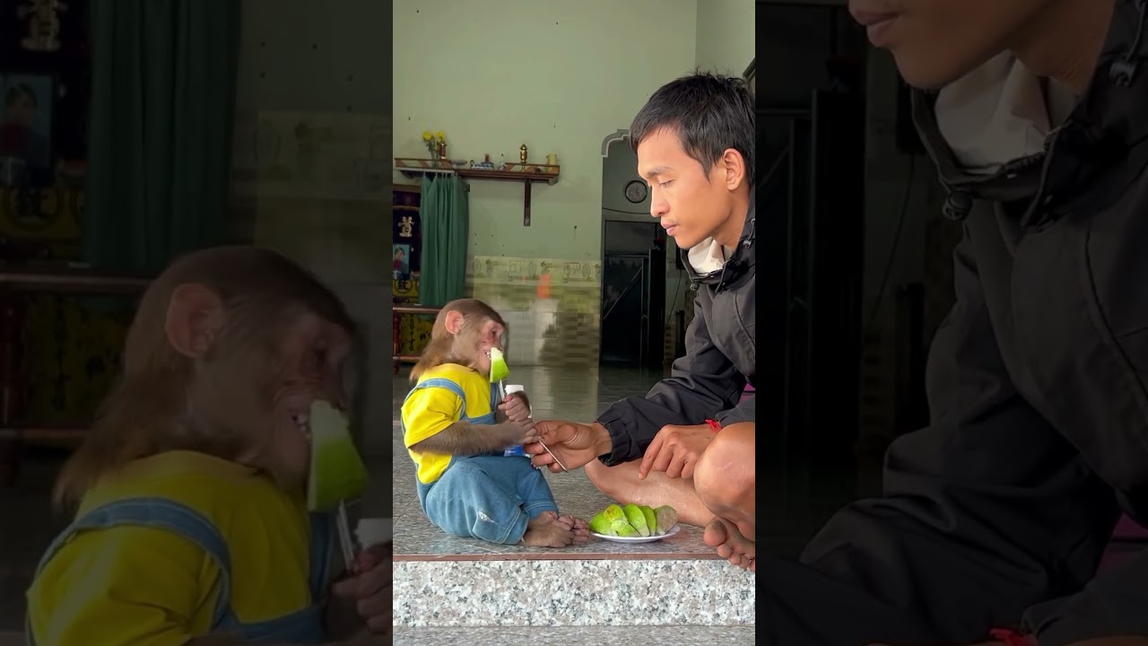 Cutis eating guava is super cute 