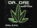 Dr. Dre ft. Snoop Dogg - Still D.R.E, San Andreas Mix