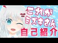 【Vtuber】だいたい1分半で分かるミズキさん【自己紹介】