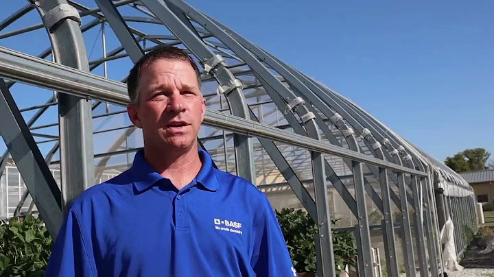 The Process of Creating Soybean Varieties