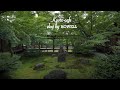 SUB【vlog】京都で1人カフェ巡りした日。🍵 清水五条〜祇園観光 / 旅行プラン / 建仁寺