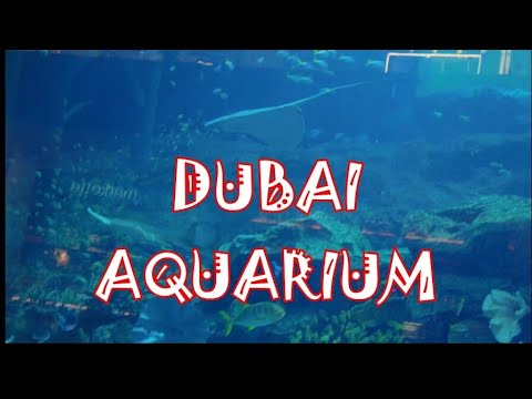 Dubai Aquarium & Underwater Zoo,  Walking Around Shopping Mall , Tour Dubai 2021