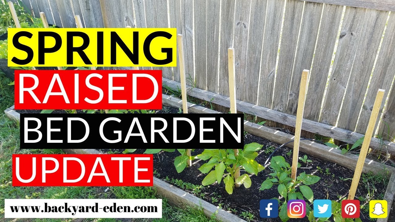 Spring Raised Bed Garden Update - Raised Bed Garden Layout