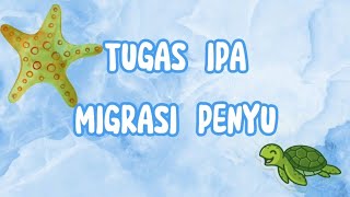 ˚✧ ﾟ MIGRASI PADA PENYU ˚✧ ﾟ.