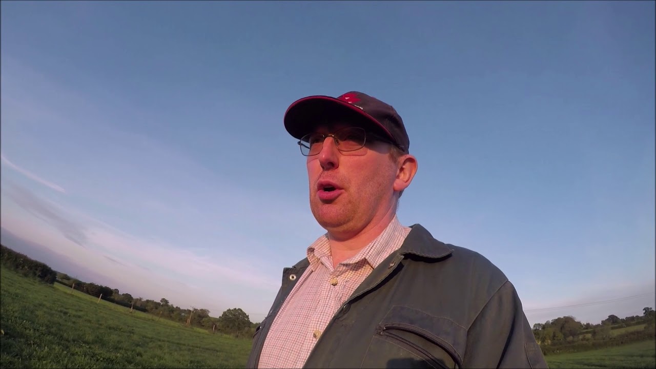 Dock control in grassland.