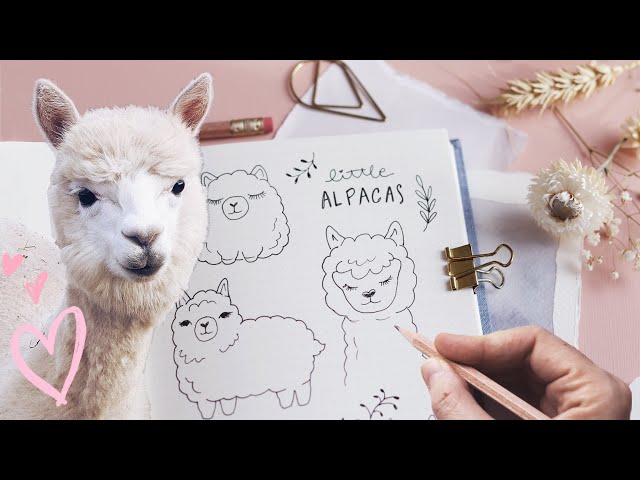 Alpaca Doodles | How To Draw The Cutest Animal Ever